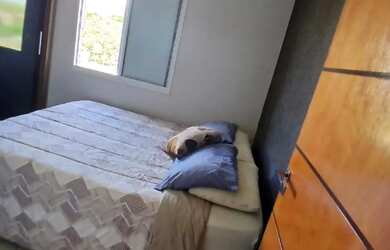 Imagem 2: Apartamento Terras de São Pedro,2 quartos