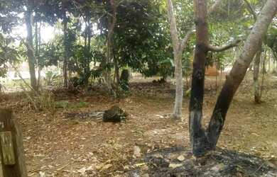 Imagem 7: /Lote com 800 M2 em Açutuba