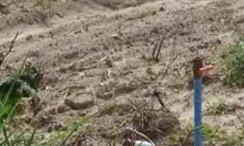 Imagem 2: Terreno em condomínio fechado