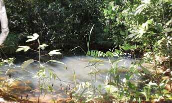Imagem 5: Área de 1.700metros, terra de plantio com,agua,luz. WhTSApp * Guilherme