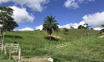 Imagem 2: Fazenda em Dario Meira