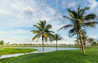 Imagem 3: Damha Terreno / lote com venda por R$520.000