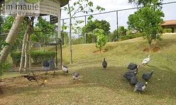 Imagem 4: Chácara Residencial à venda, Sousas, Campinas - CH0037