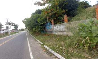 Imagem 6: NíSIA FLORESTA - Padrão - Pirangi Do Sul