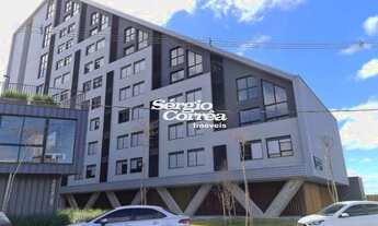 Imagem: Pelotas - Kitchenette/Conjugados - São