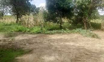 Imagem 4: Excelente sitio com toda estrutura próximo de Mataraca