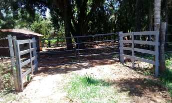 Imagem: Sitinho 3 alqueires, 2 alq de pasto, casa