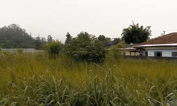 Imagem 3: Área Plana para Galpões ou Posto de Gasolina- 3.461M²