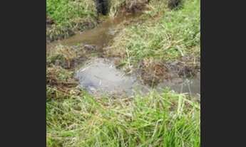 Imagem 4: Fazenda com 318 ta = 961.950 m2 Santa Luzia do Itanhy