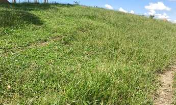 Imagem 4: G15-Lançamento em Jacarei !!!