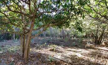 Imagem 4: Chácara em Ravena