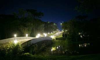 Imagem 5: CAXIAS DO SUL - Terreno Padrão - São Ciro
