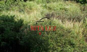 Imagem 6: PORTO ALEGRE - Padrão - Cristal