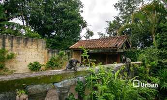 Imagem 11: Casa com 4 dormitórios à venda, 172 m² por R$ 520.000,00 - Nagoya Garden - Vargem Grande P