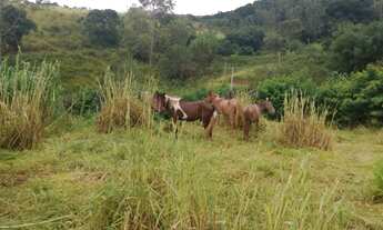 Imagem 6: Lote/Terreno de 20.000 m² em Piracaia - São Paulo