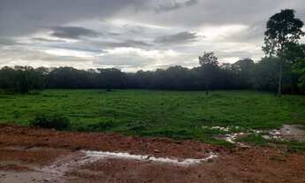 Imagem 2: Oportunidade! Vende-se uma excelente fazenda de 32 Alqueires