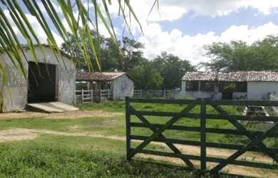 Imagem 3: Fazenda para pessoa de bom gosto 480 hectares encantadora