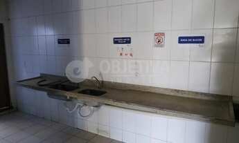 Imagem 6: Aluguel Comodo SANTA MONICA