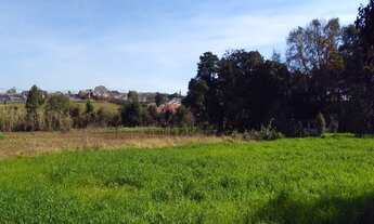 Imagem 2: TERRENO RESIDENCIAL em PONTA GROSSA - PR, UVARANAS