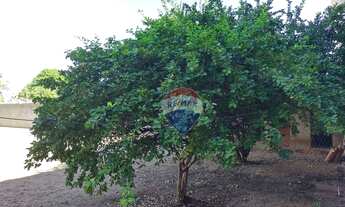 Imagem 7: Excelente casa próximo ao IFRN de Mossoró com 3 quartos e 720m² de área total à venda - Pr