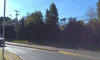 Imagem 6: TERRENO RESIDENCIAL em PONTA GROSSA - PR, UVARANAS