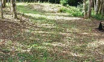 Imagem 4: Terreno à venda, 500 m² - Terras de São Felipe (Caucaia do Alto) - Cotia/SP