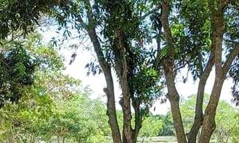 Imagem 3: Lotes em Condomínio Botanico Bairro Terra Brasilis ,Aquiraz Ce