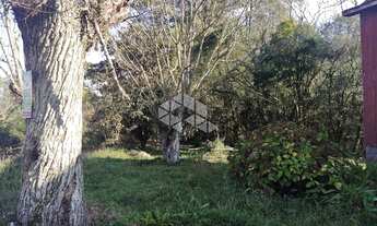 Imagem 3: BENTO GONçALVES - Chácara - Vale Dos Vinhedos