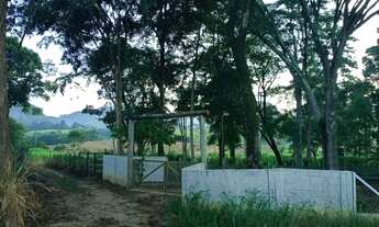 Imagem 6: Vendo chácara em fundão