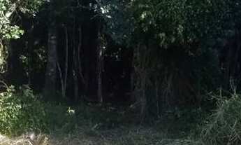 Imagem 4: Terreno Mariscal Bombinhas