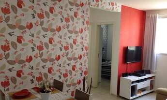 Imagem 3: Apartamento residencial à venda, São José do Barreto, Macaé