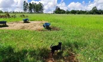 Imagem 5: Beira do asfalto rodeador chácara 100%plana 20.000m2 com casa falta acabamento
