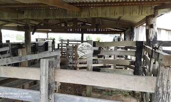 Imagem 7: Ariquemes - Sítio - 10 Alqueires