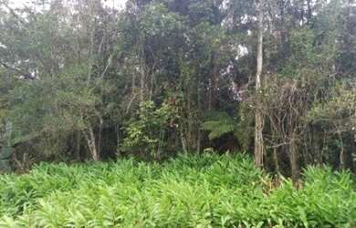 Imagem 5: Terreno em local de moradores, água da sabesp, possui 2 unidades