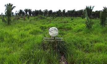 Imagem 3: Vale do Anari - Sítio - 15 Alqueires