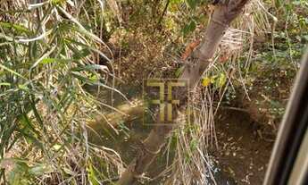 Imagem 5: Fazenda 228 Alqueires, Figueirópolis, TO