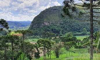 Imagem 4: Imóvel Rural/Terreno Rural