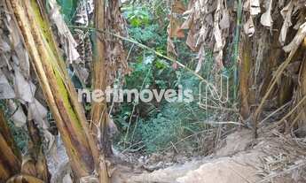 Imagem 5: Venda Casa Planalto Belo Horizonte