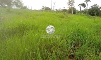 Imagem 6: Machadinho D'Oeste - Sítio - 18 Alqueires