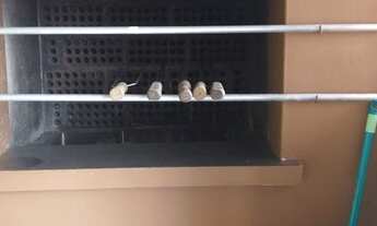 Imagem 7: Apartamento para venda com 45 m2 com 1 quarto em Capao Novo - Capão da Canoa - RS