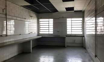 Imagem 7: Prédio Inteiro no bairro Santo Antônio - São Caetano do Sul, SP