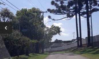 Imagem 5: Terreno à venda, 253 m² por R$ 149.000,00 - Orleans - Curitiba/PR