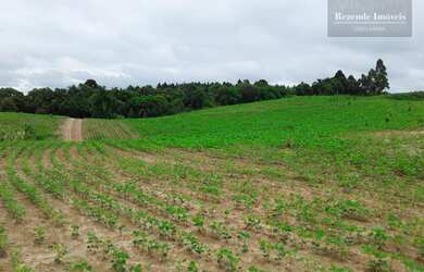 Imagem 3: Área Industrial à venda, 852244 m² por R$ 40.000.000 - Butiatuva - Campo Largo/PR