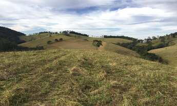 Imagem 4: FAZENDA COM ÁREA DE 100 ALQUEIRES PARA CRIAÇÃO DE GADO EM MINAS!!