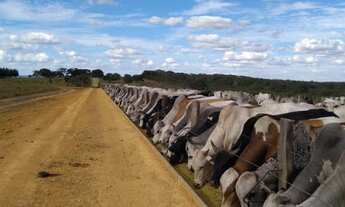 Imagem 2: Vendo Fazenda Munícipio Mineiros - GO
