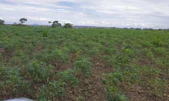Imagem 5: Fazenda com 336 ta -Salgado