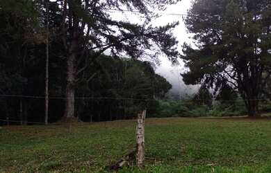 Imagem 7: 7 alqueires em caminho do sul preservação total