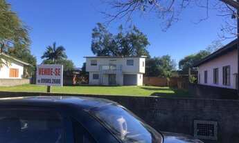 Imagem: Lote no centro de São João do Sul