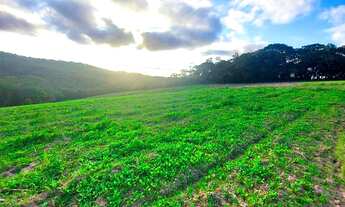 Imagem 3: 11o- terreno de 500m2 em Cotia Agende sua visita via WhatsApp!