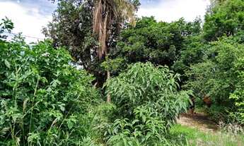 Imagem 7: BELO HORIZONTE - Loteamento/Condomínio - Mantiqueira